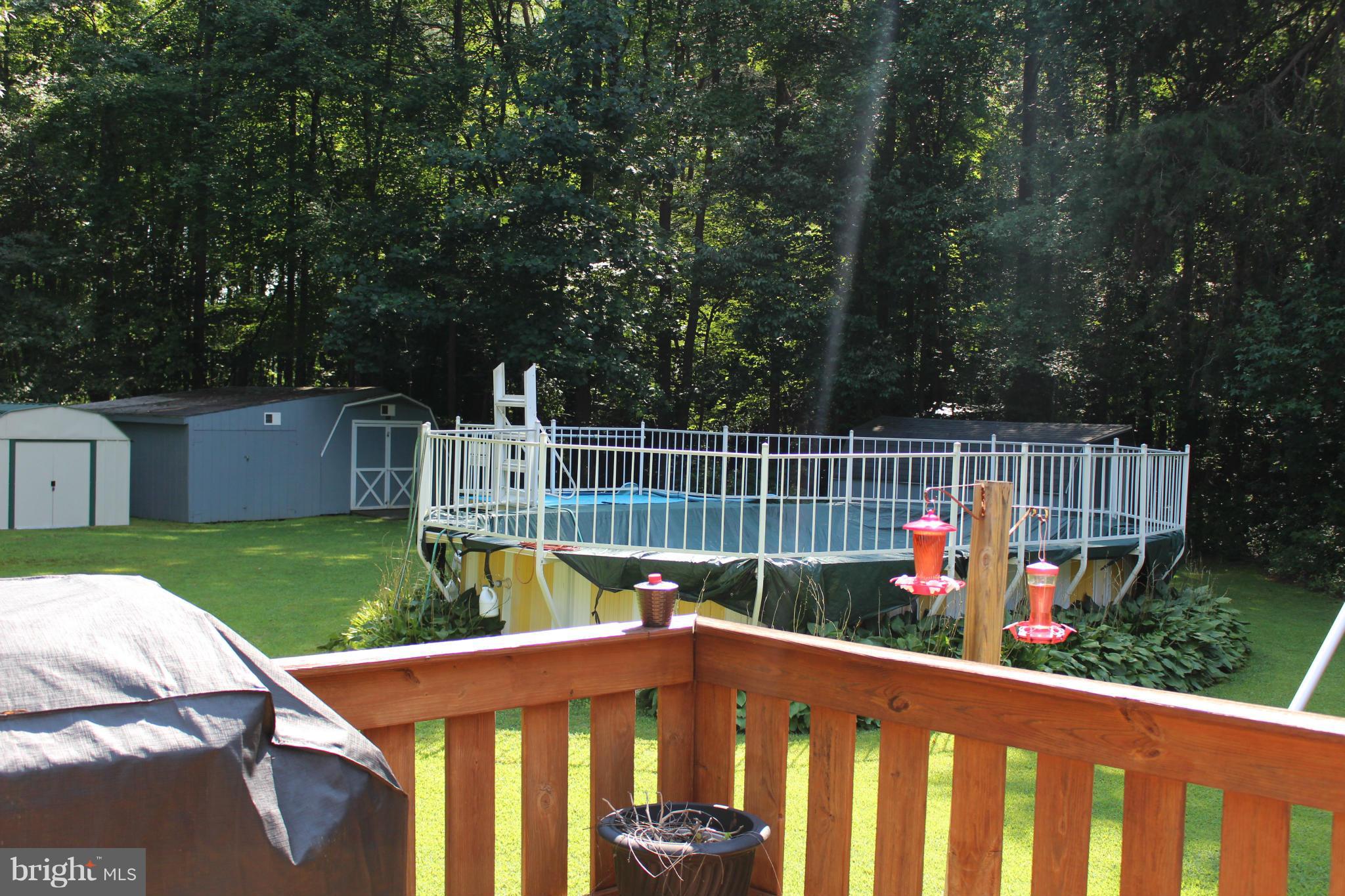 34397 Vandyke Road Galena, MD 21635 - Photo 6 of 19 Pool