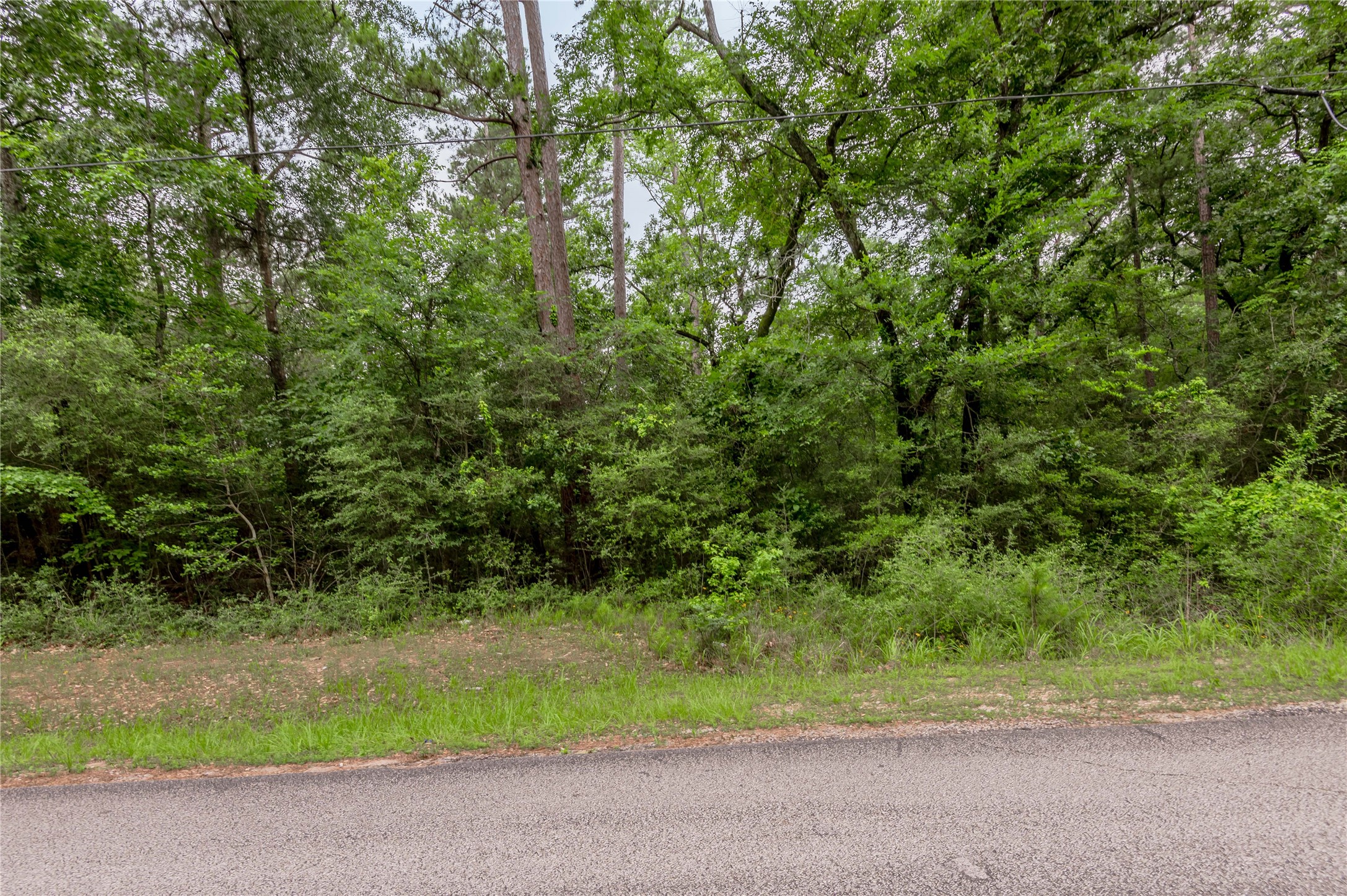 Lot 08 Oak Drive Trinity, TX 75862 - Photo 7 of 32