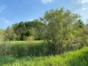9000 Chase Bridge Road Roscommon, MI 48653 - Photo 5 of 15 Gallery Image 5