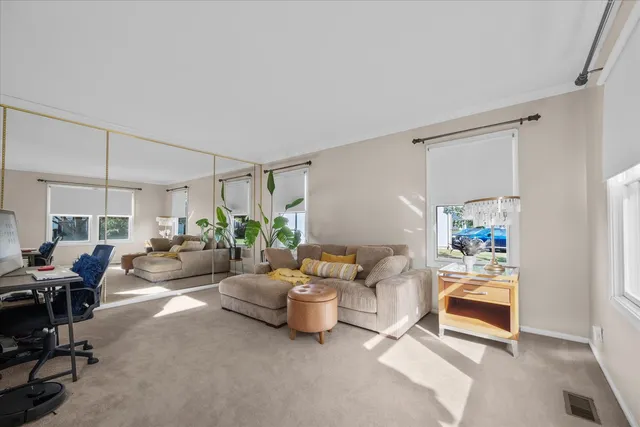 a living room with furniture and a potted plant