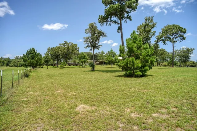 a view of a garden with a building in the background