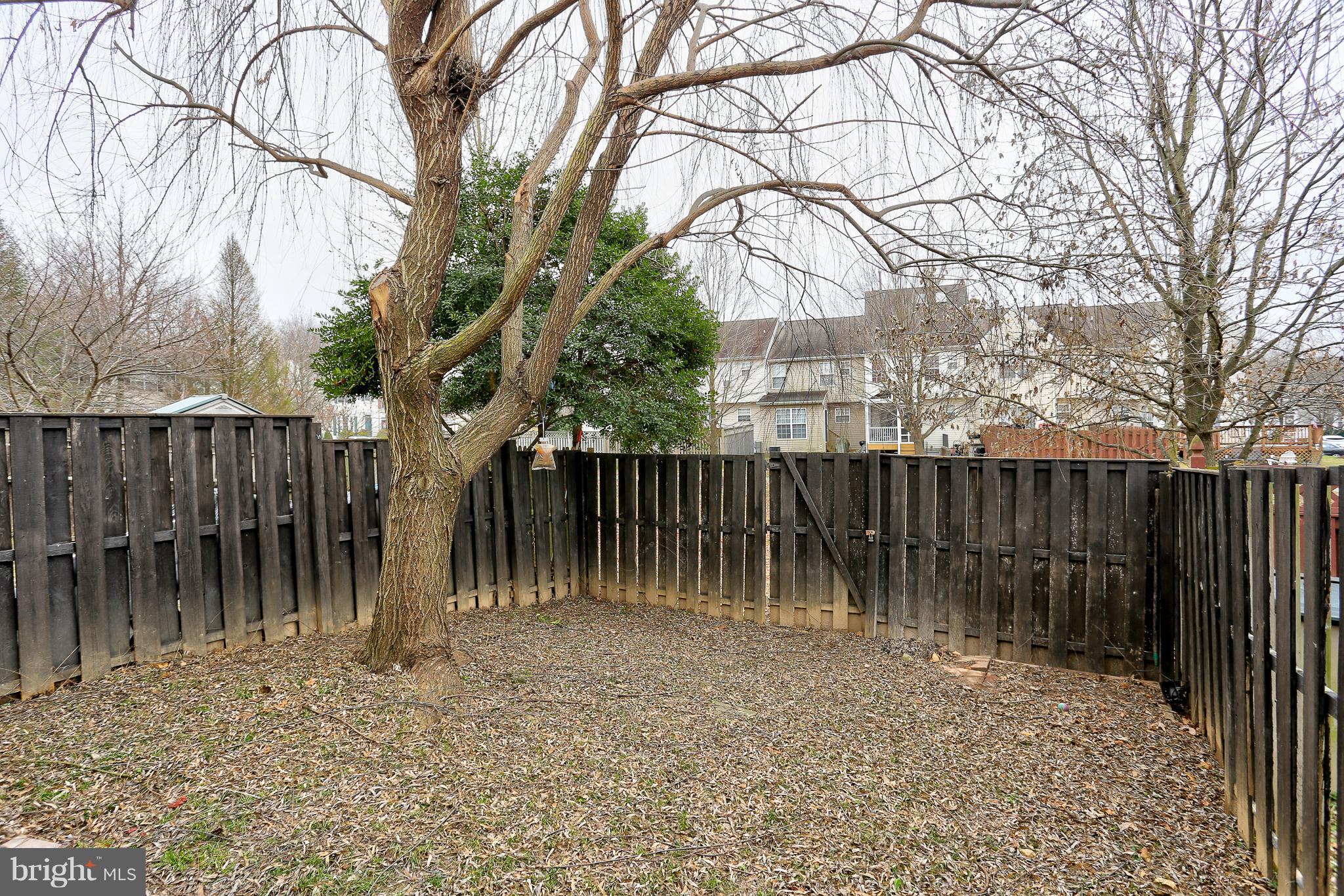 Fenced in Backyard