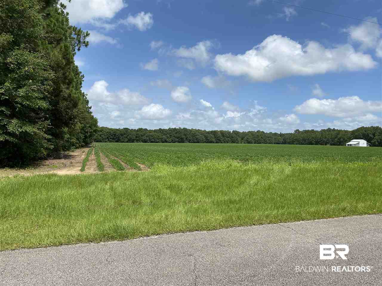 19380 Rada Road Silverhill, AL 36576 - Photo 4 of 6