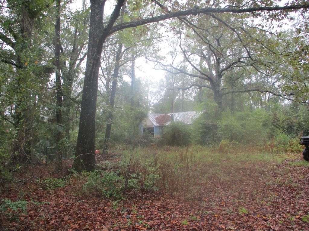 1650 Glen Lawrence Road Cowarts, AL 36321 - Photo 1 of 1