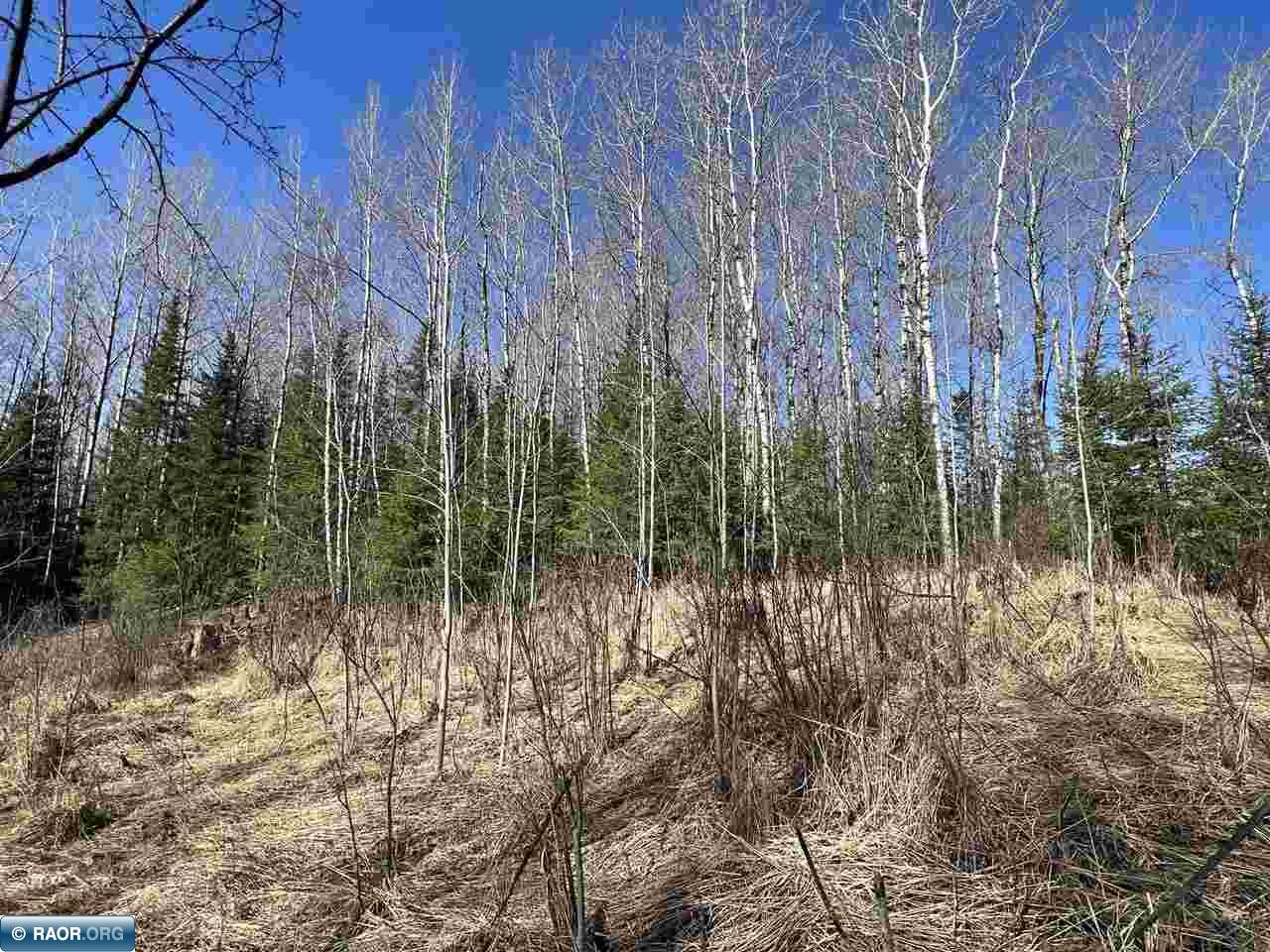 11720 Town Line Road Hibbing, MN 55746 - Photo 9 of 18