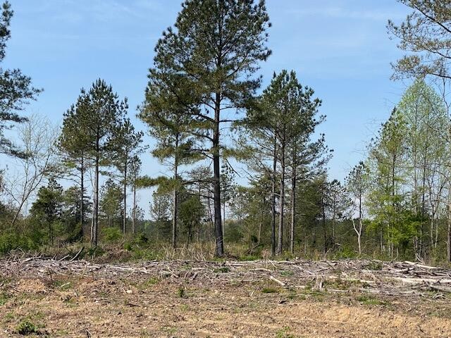 7 Co Road Sweetwater, TN 37874 - Photo 1 of 1