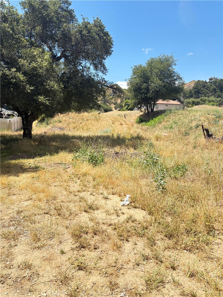 0 Sheridan Road Val Verde, CA 91384 - Photo 1 of 3 a view of a yard with a tree