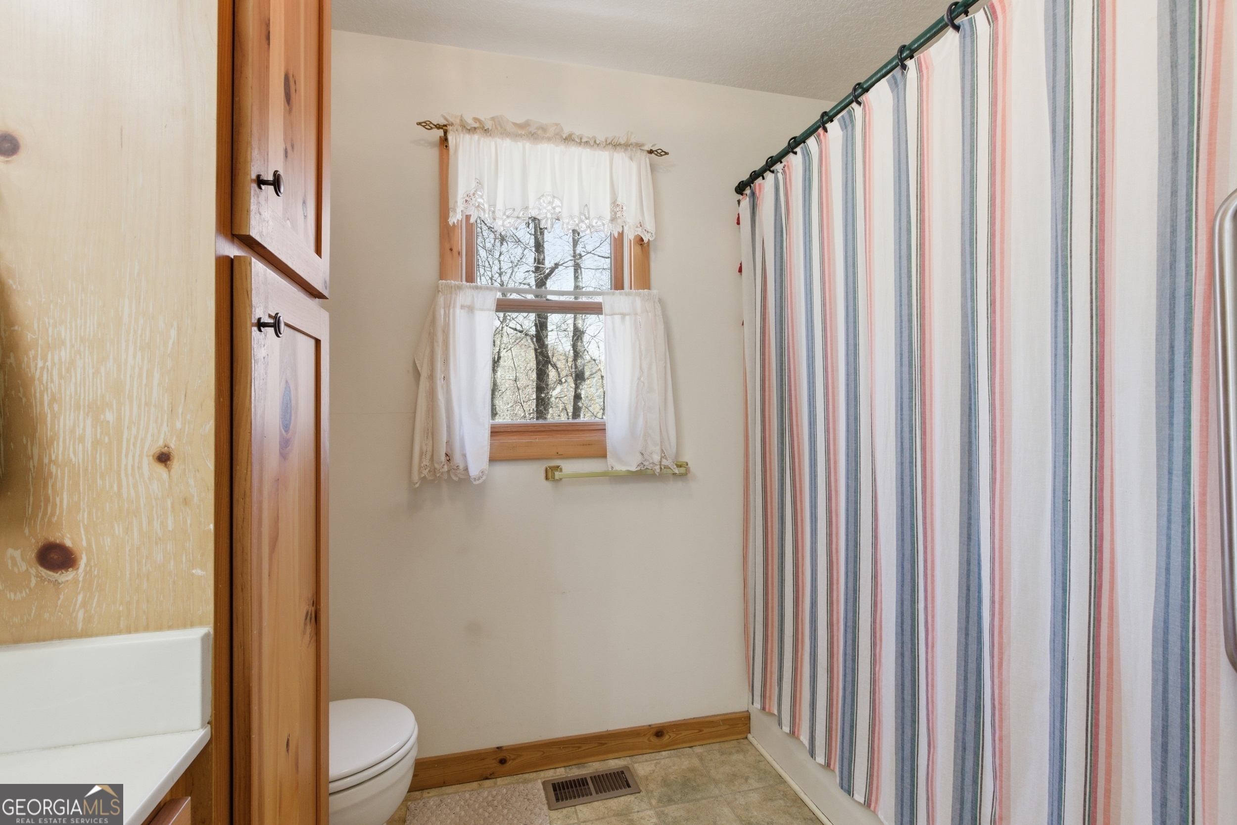 2280 Germany Road Clayton, GA 30525 - Photo 20 of 70 a bathroom with a toilet a sink and a window