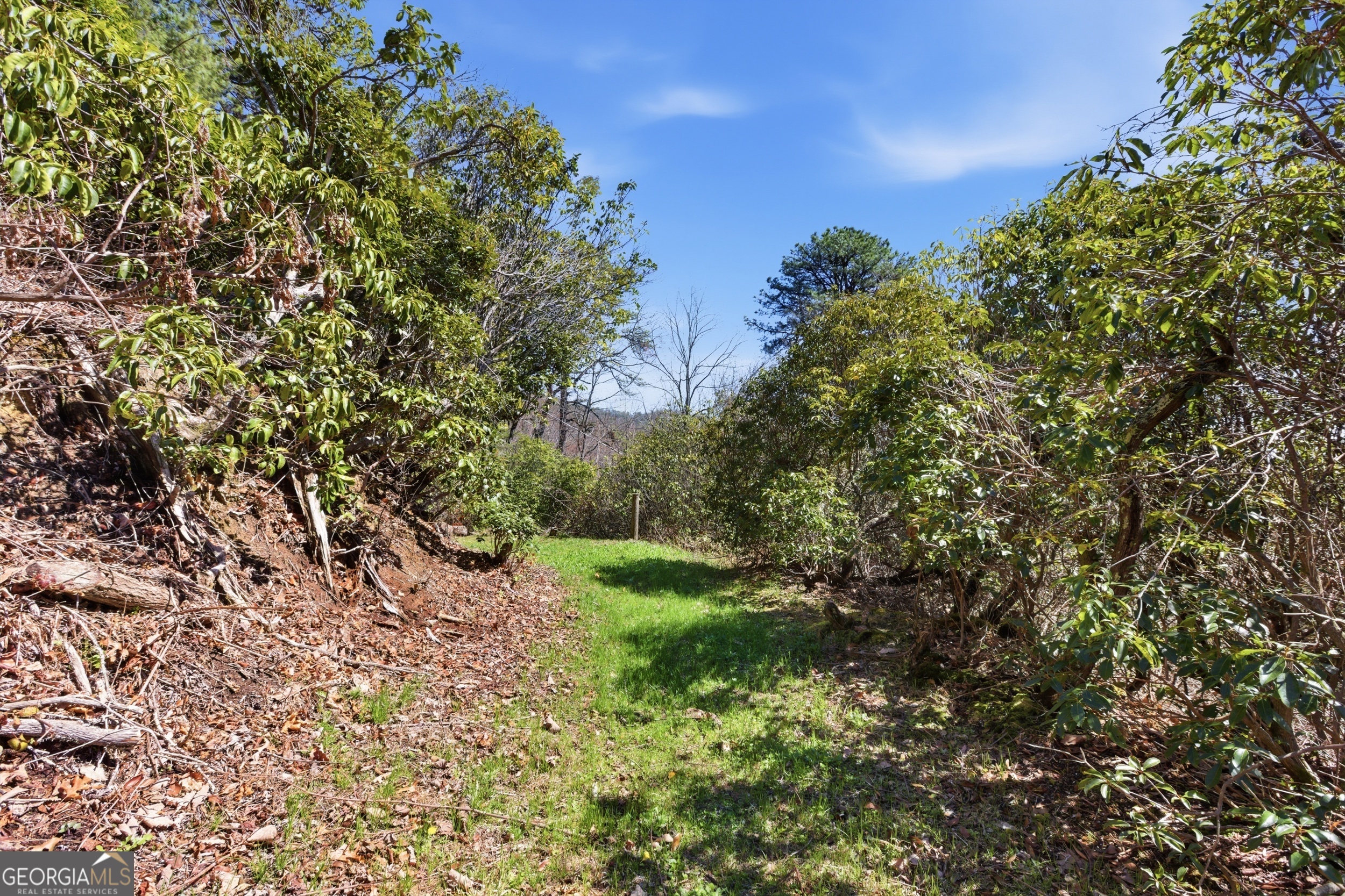 2280 Germany Road Clayton, GA 30525 - Photo 34 of 70