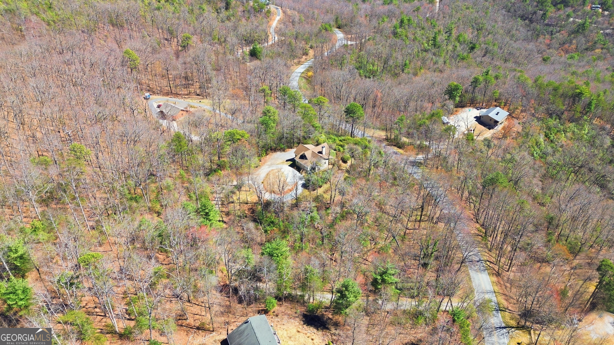 2280 Germany Road Clayton, GA 30525 - Photo 44 of 70 a close up of a plant