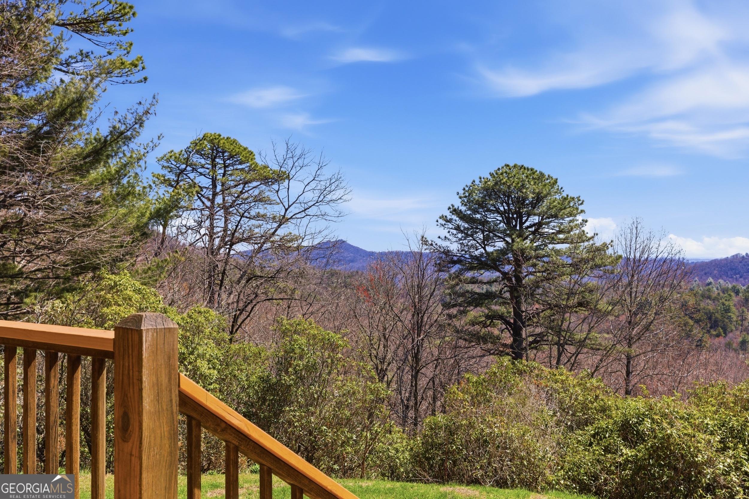 2280 Germany Road Clayton, GA 30525 - Photo 63 of 70 a view of a yard