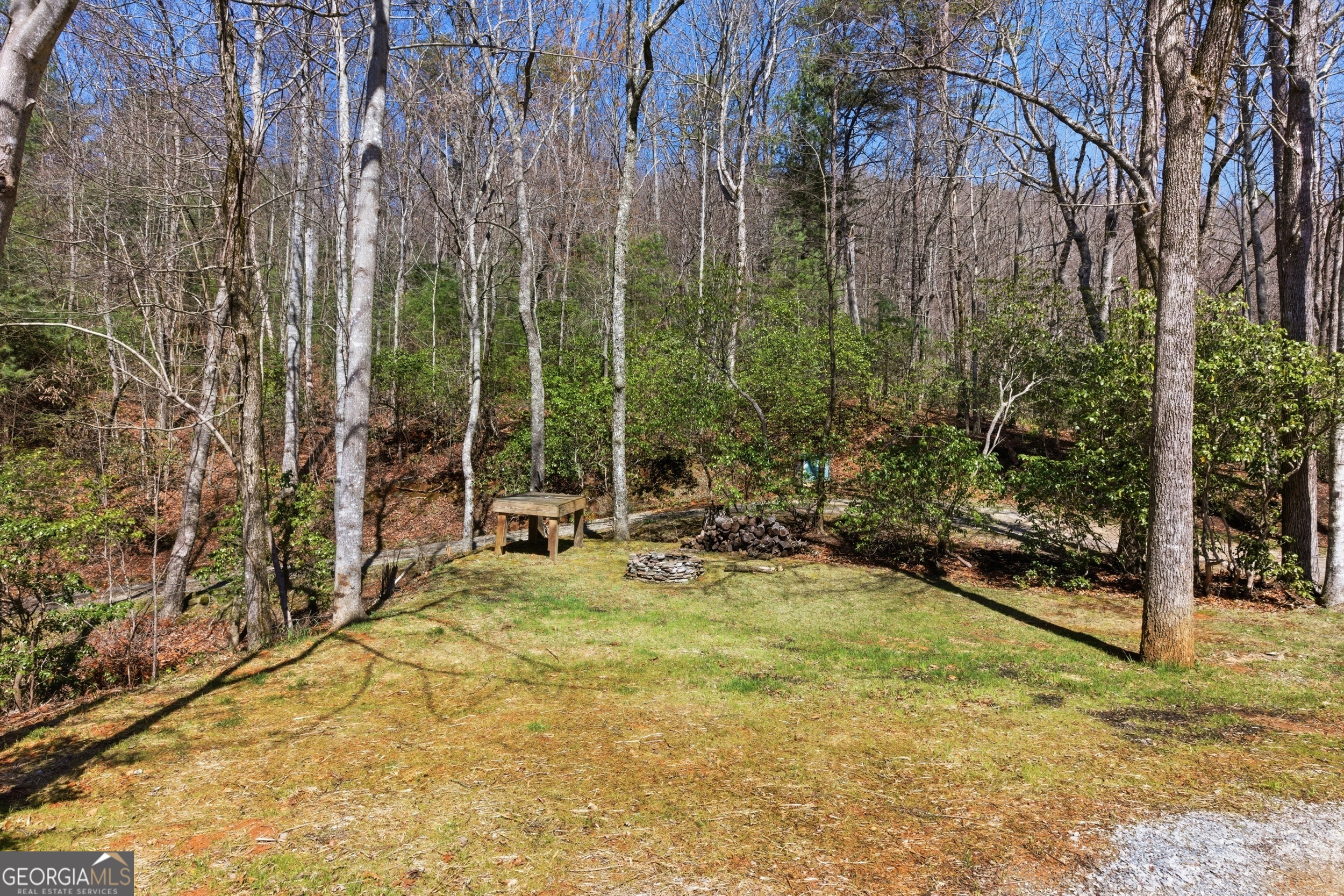 2280 Germany Road Clayton, GA 30525 - Photo 65 of 70 a view of a backyard with plants and large trees