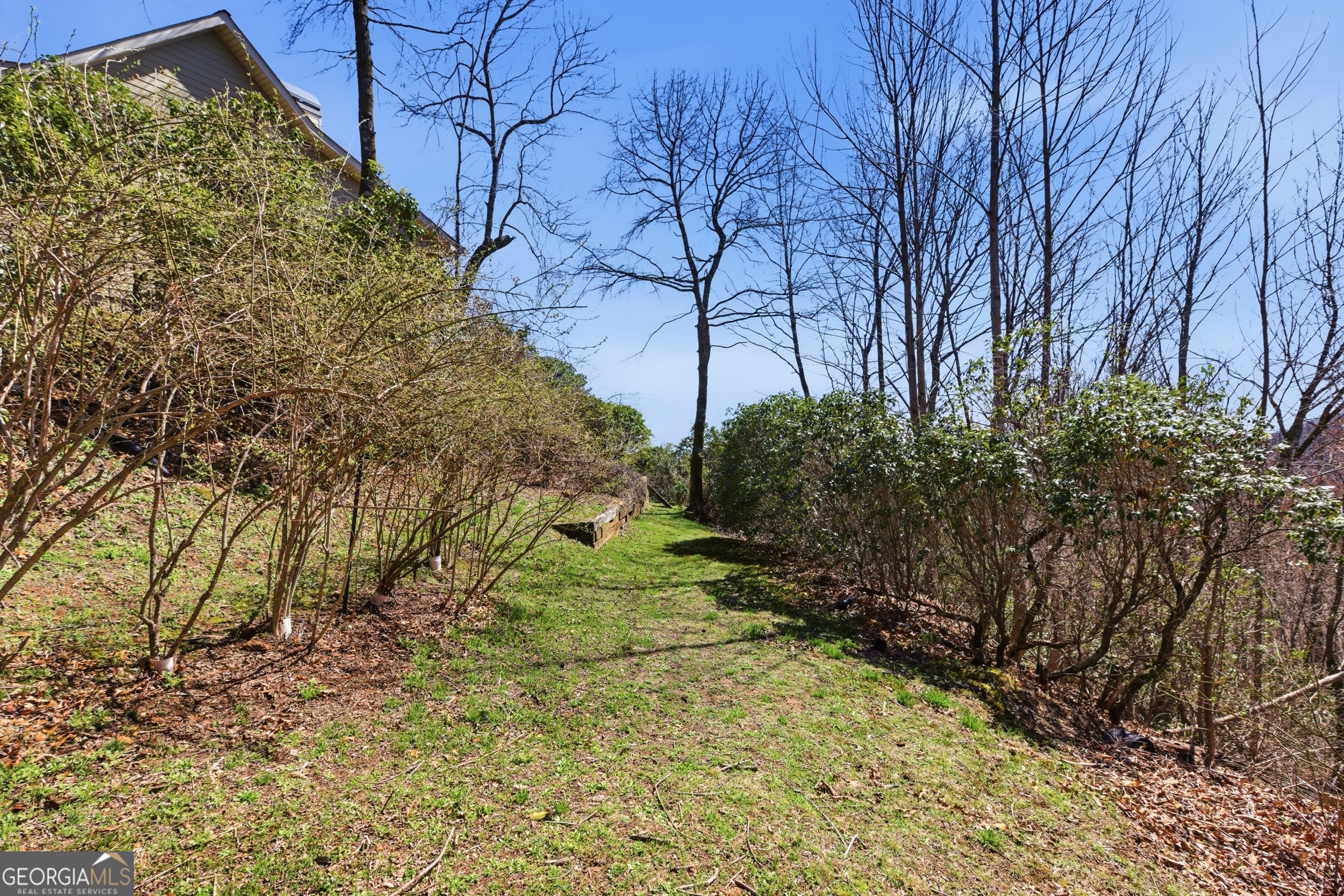 2280 Germany Road Clayton, GA 30525 - Photo 67 of 70 a backyard of a building