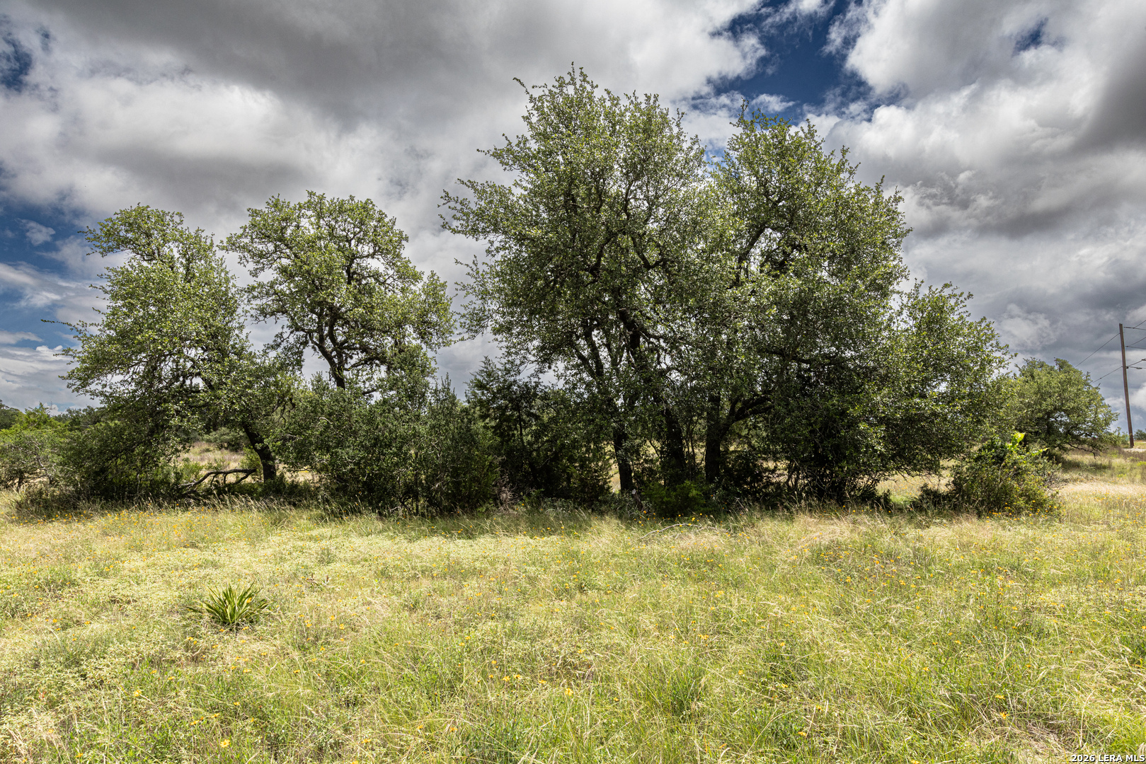 563 Abodar Trail Spring Branch, TX 78070 - Photo 24 of 55