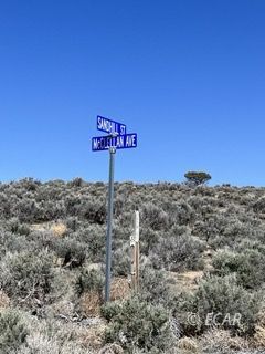 Mcclellan Ave Spring Creek Spring Creek, NV 89815 - Photo 1 of 11