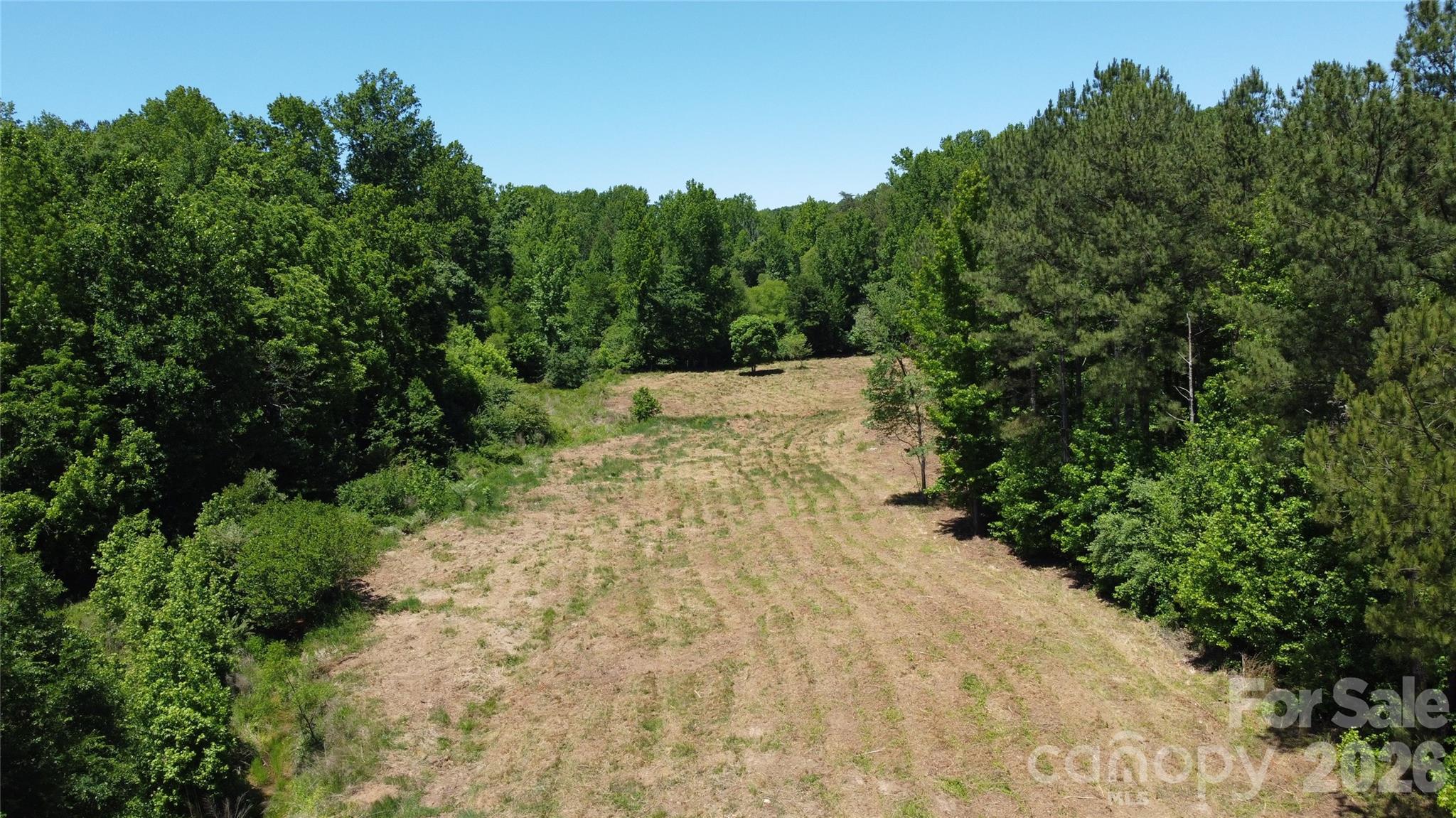 480 Brown Road Spartanburg, SC 29302 - Photo 6 of 47 a view of a yard with plants and a trees