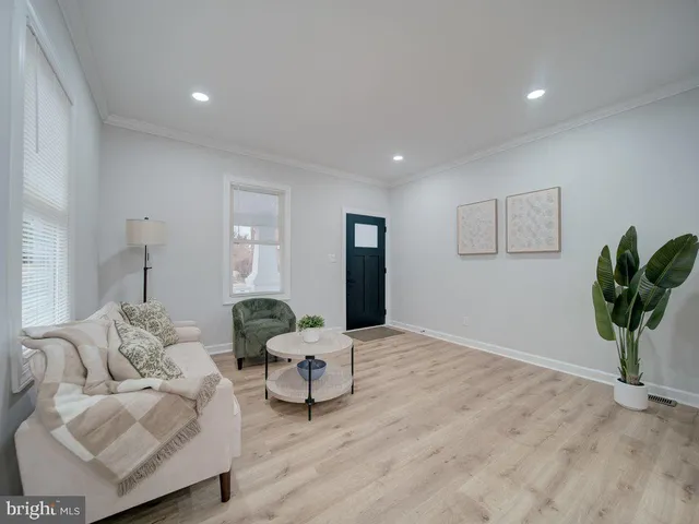 a living room with furniture and a potted plant