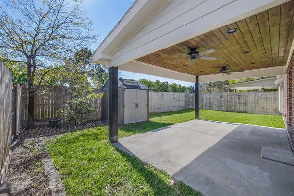 a view of a backyard with tree