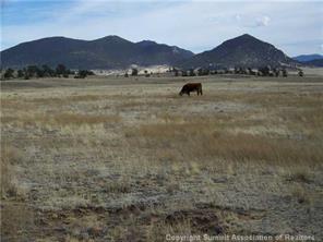 11298 Larimer Road Hartsel, CO 80449 - Photo 2 of 6