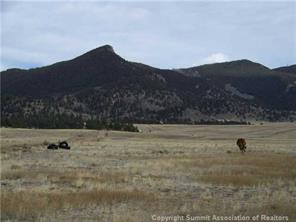 11298 Larimer Road Hartsel, CO 80449 - Photo 4 of 6