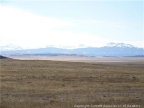 11298 Larimer Road Hartsel, CO 80449 - Photo 5 of 6