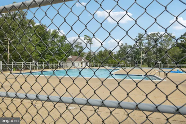 a view of a yard and a plant