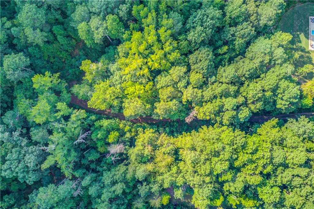 6350 Blackjack Road Flowery Branch, GA 30542 - Photo 9 of 17 a backyard of a house with lots of plants