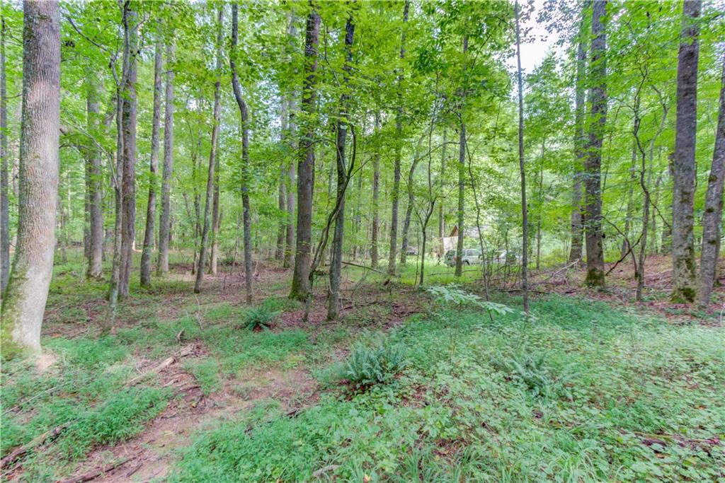 6350 Blackjack Road Flowery Branch, GA 30542 - Photo 10 of 17 a view of backyard with green space