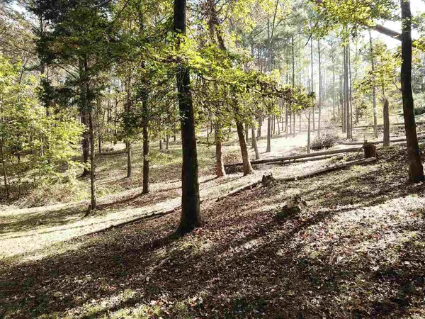 a view of a yard with large trees