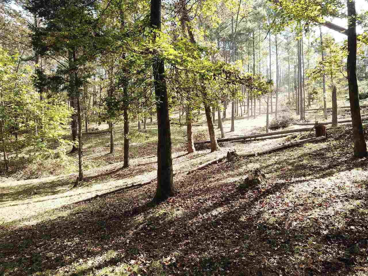 0 Maple Street Franklin, GA 30217 - Photo 1 of 19 a view of a yard with large trees