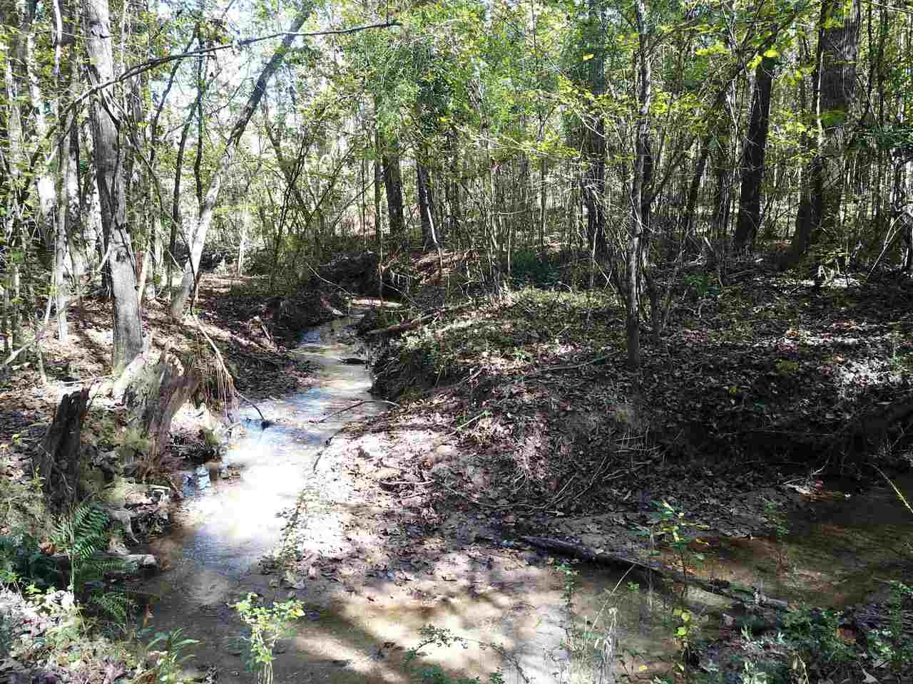 0 Maple Street Franklin, GA 30217 - Photo 11 of 19