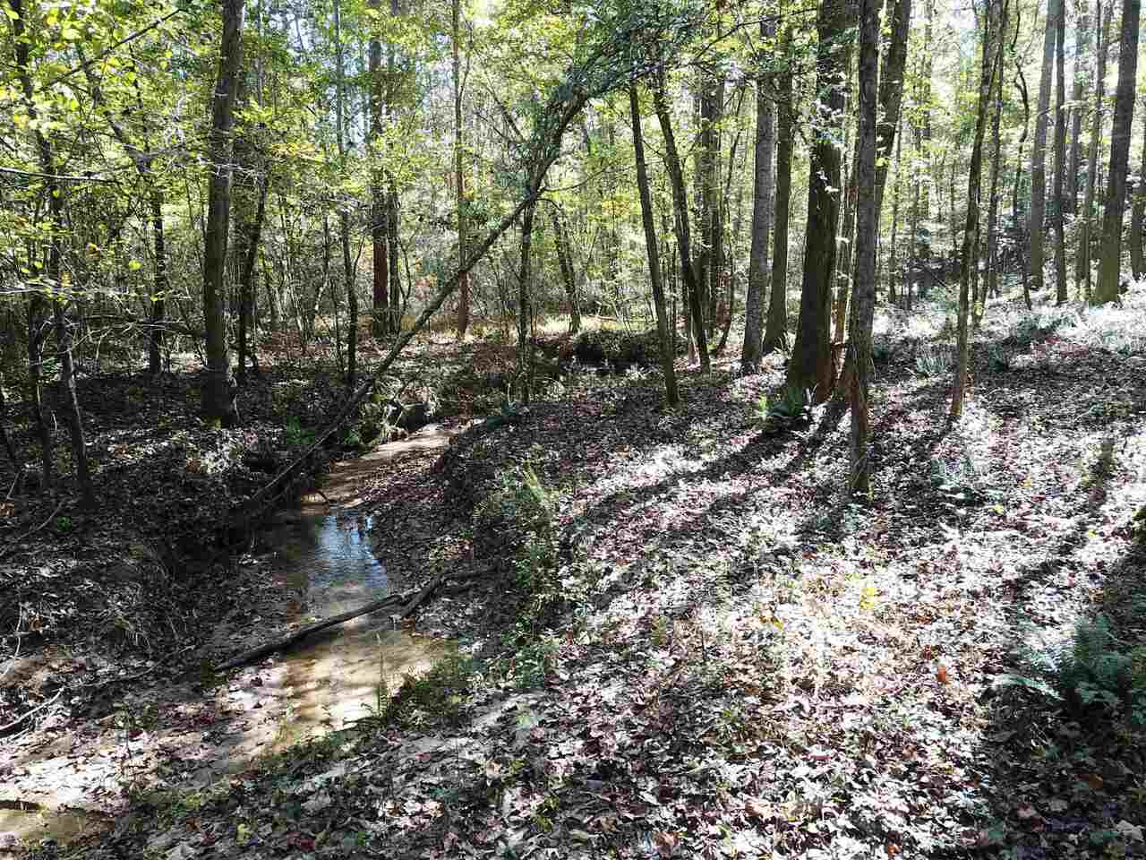 0 Maple Street Franklin, GA 30217 - Photo 12 of 19 a view of forest