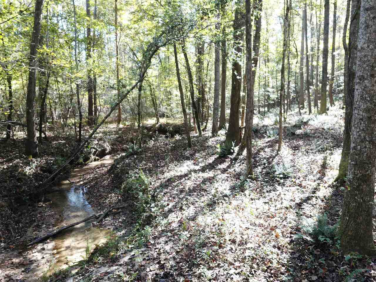 0 Maple Street Franklin, GA 30217 - Photo 13 of 19 a view of forest