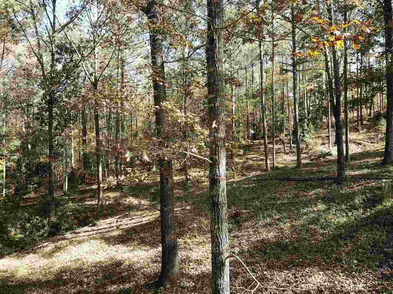 0 Maple Street Franklin, GA 30217 - Photo 14 of 19 a view of a forest filled with trees
