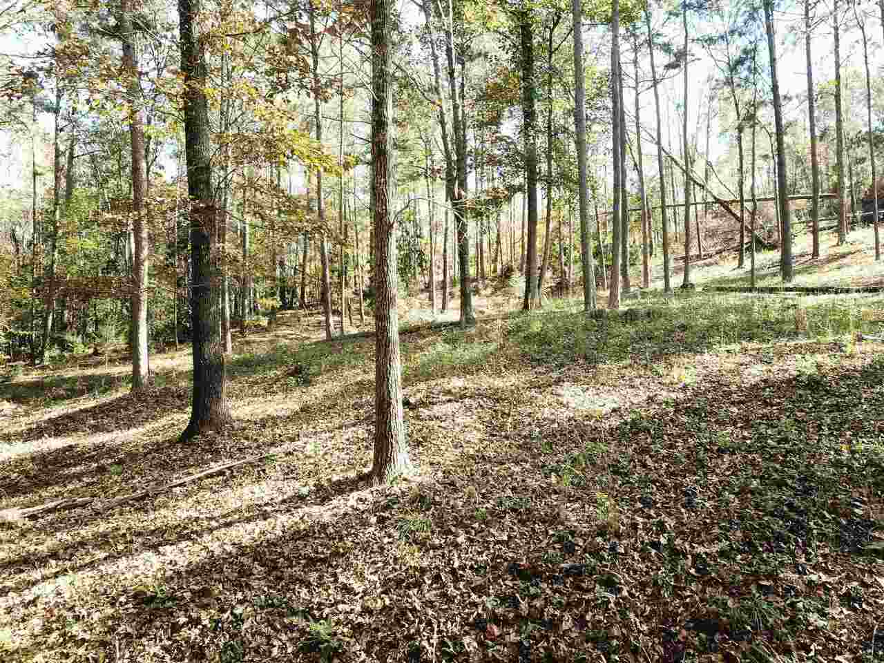 0 Maple Street Franklin, GA 30217 - Photo 15 of 19 a view of a yard with plants and trees
