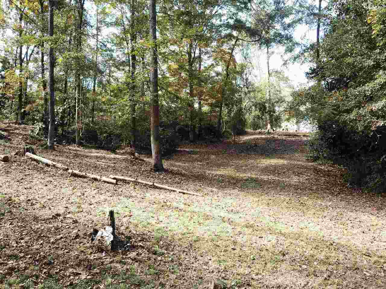 0 Maple Street Franklin, GA 30217 - Photo 16 of 19 a view of a yard with trees