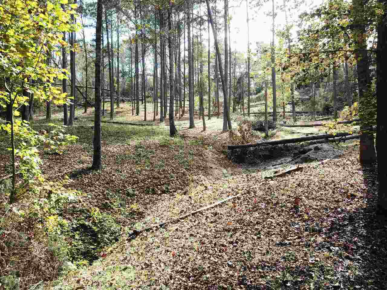 0 Maple Street Franklin, GA 30217 - Photo 17 of 19 a view of a backyard with trees