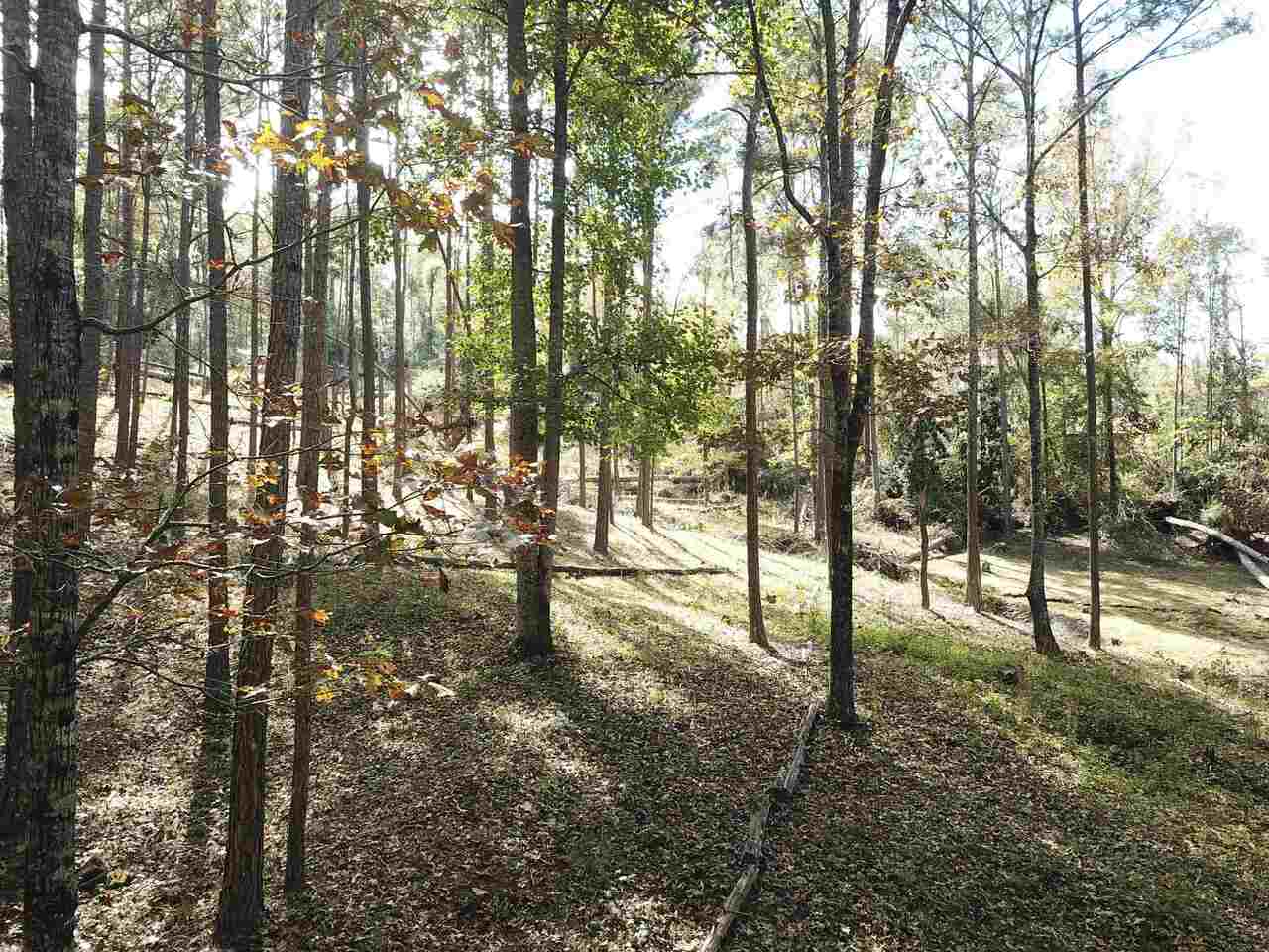 0 Maple Street Franklin, GA 30217 - Photo 18 of 19 a view of yard