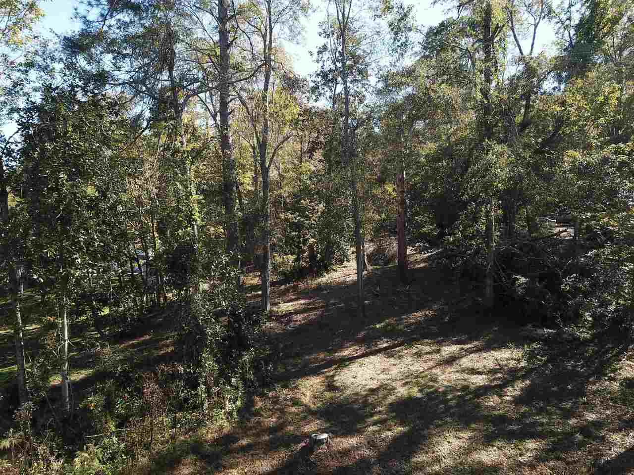 0 Maple Street Franklin, GA 30217 - Photo 3 of 19 a view of a forest with trees