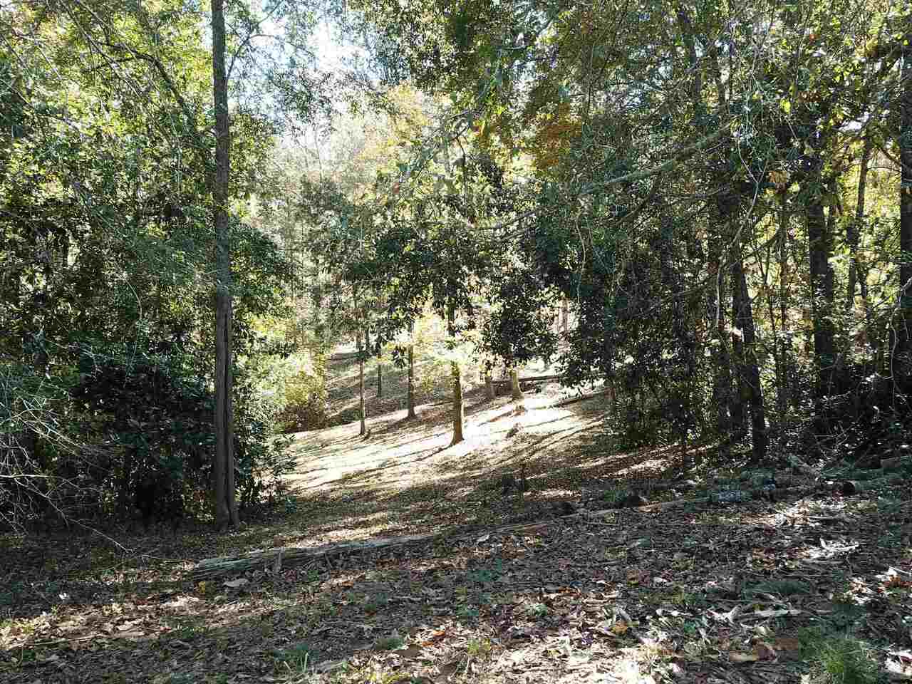 0 Maple Street Franklin, GA 30217 - Photo 4 of 19 a view of yard