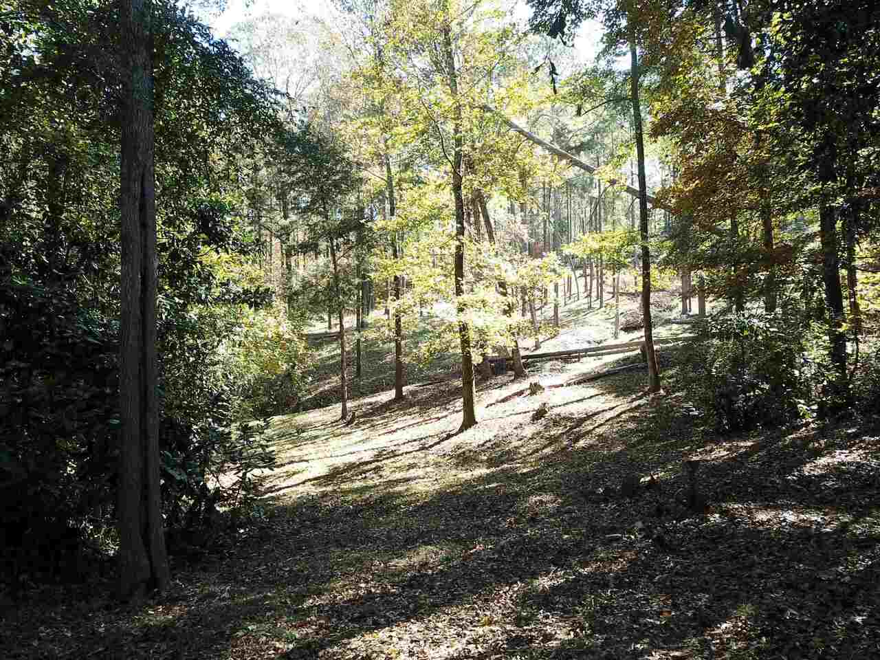 0 Maple Street Franklin, GA 30217 - Photo 5 of 19 a view of yard with trees