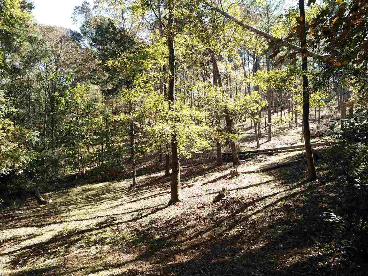 0 Maple Street Franklin, GA 30217 - Photo 6 of 19 a view of a forest with trees