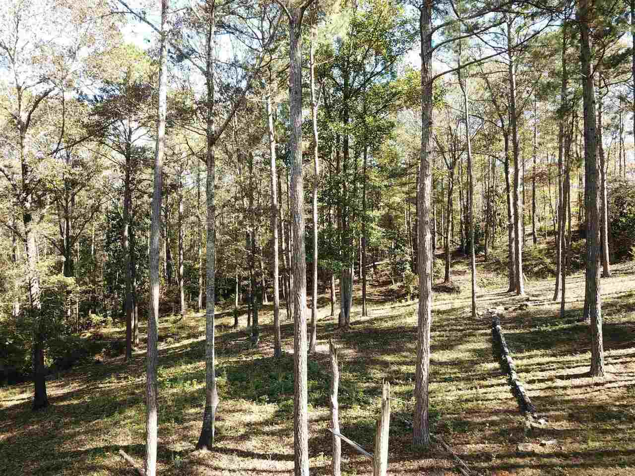 0 Maple Street Franklin, GA 30217 - Photo 7 of 19 a view of a city view