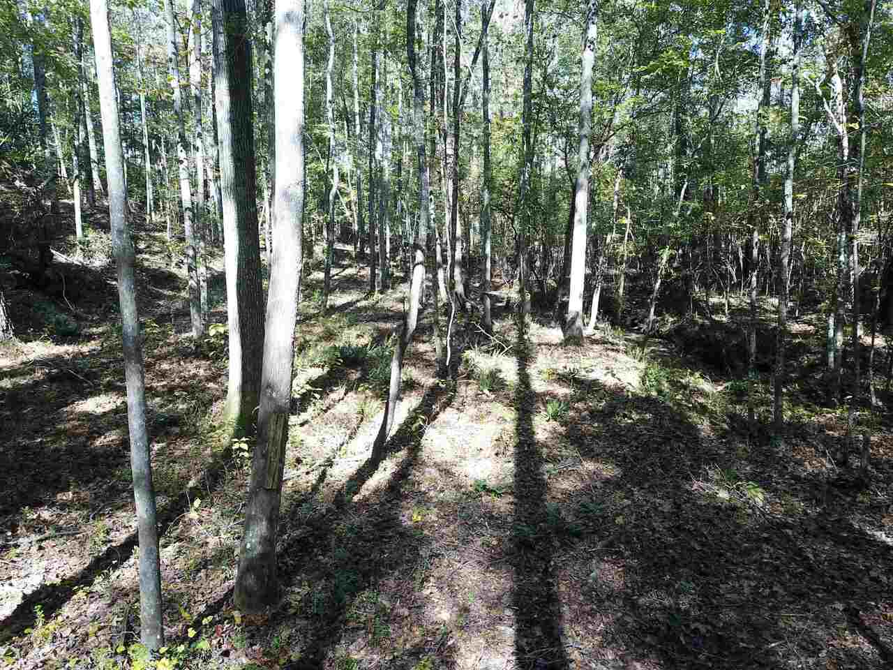 0 Maple Street Franklin, GA 30217 - Photo 10 of 19 a view of forest