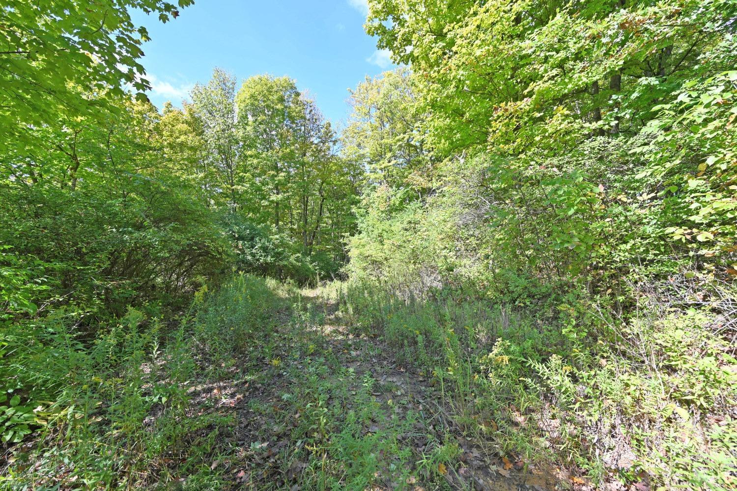 3301 Mt Carmel Road Cincinnati, OH 45244 - Photo 6 of 30