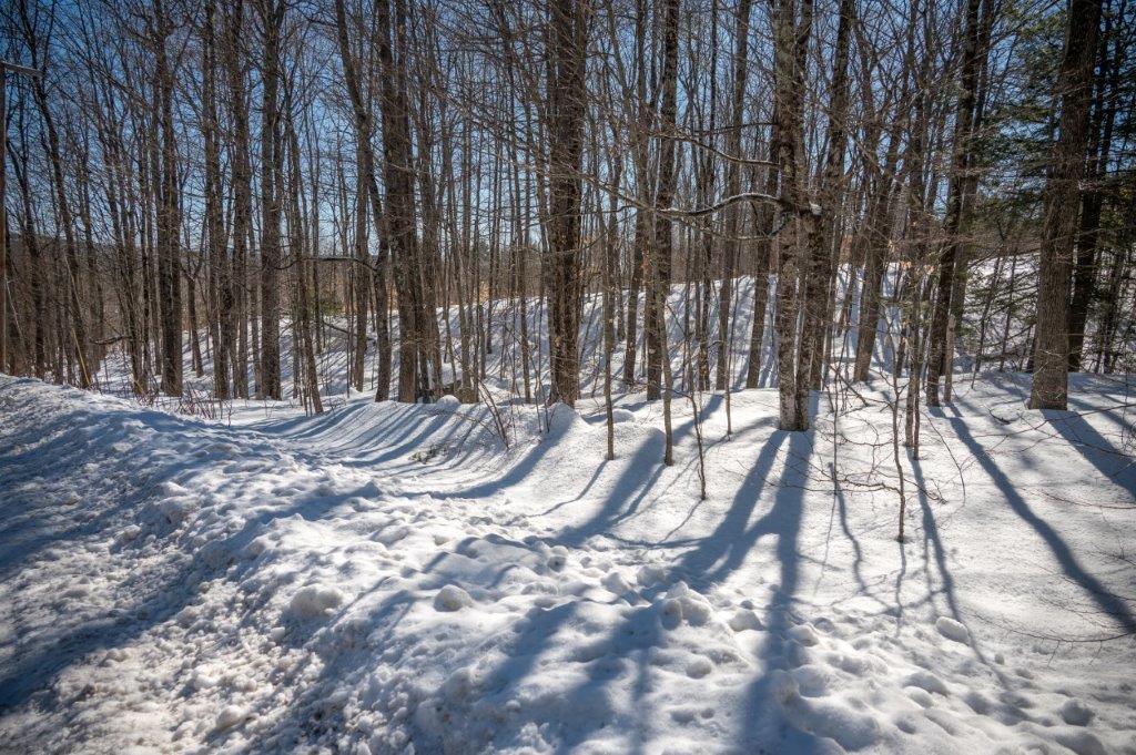 0 Heath Road, Unit LOTB Poland, ME 04274 - Photo 6 of 17 72 Heath Road-21
