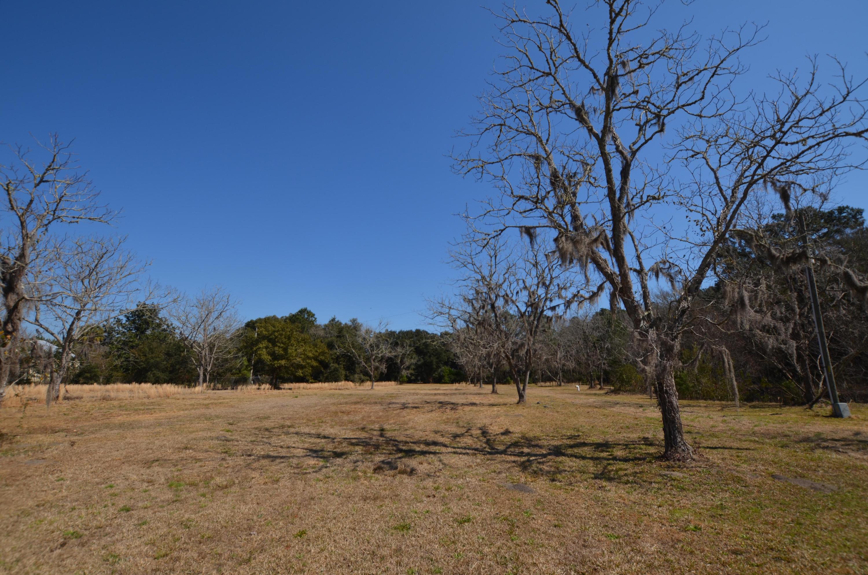 435 Dupre Road McClellanville, SC 29458 - Photo 7 of 8 pecan rows