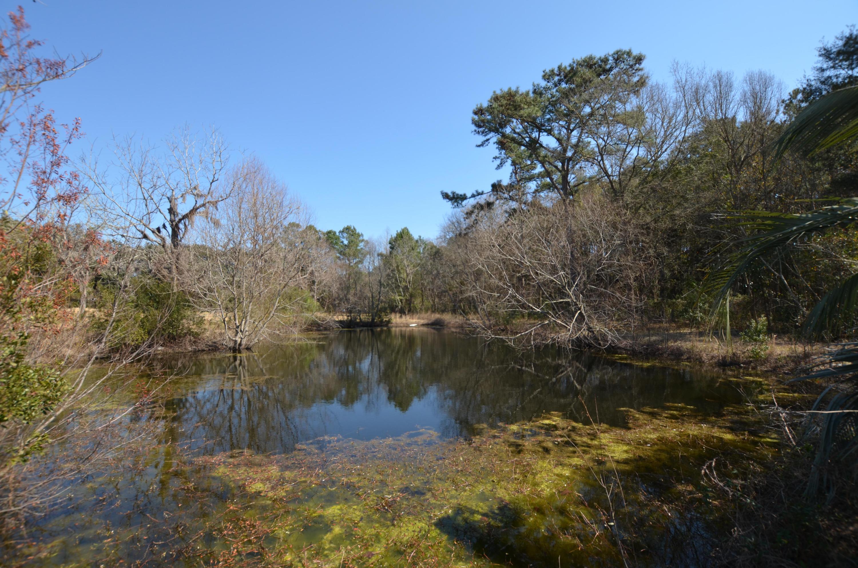 435 Dupre Road McClellanville, SC 29458 - Photo 8 of 8 pond