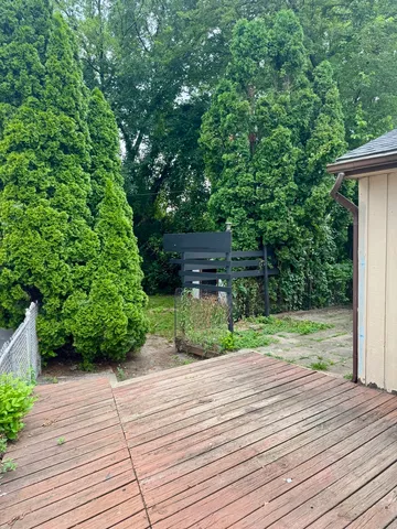 a view of a yard with a tree