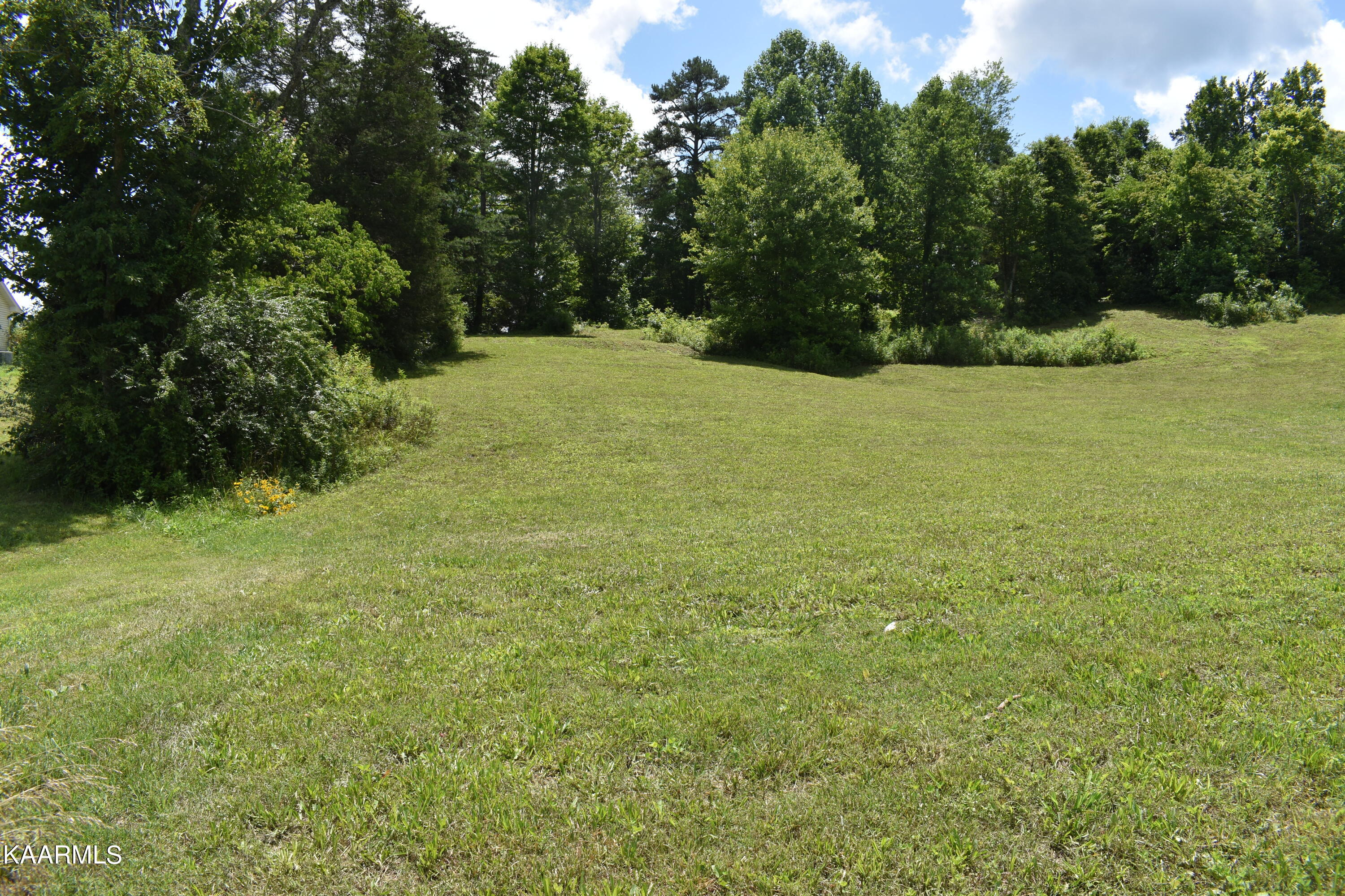 Lot 9 Briar Ridge Lane Strawberry Plains, TN 37871 - Photo 2 of 4 DSC_0002